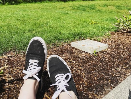 Little Paws best model picture