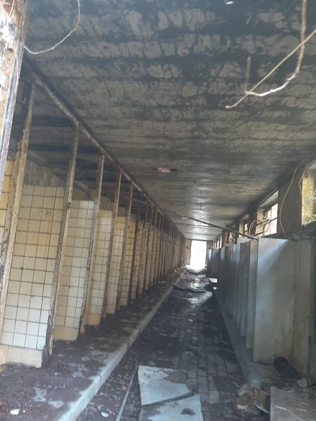 LordShwanzy model top pic