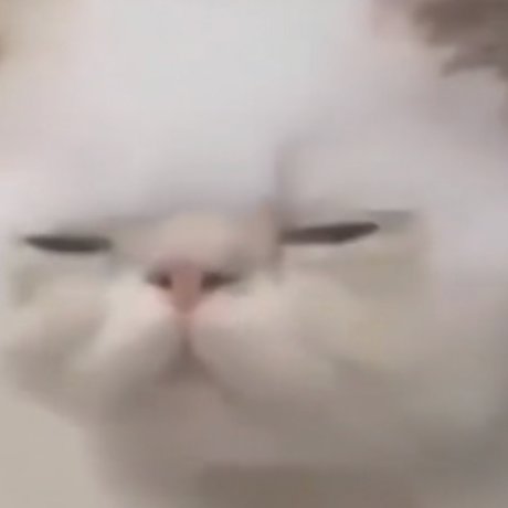 off the wall pornstar hd archive