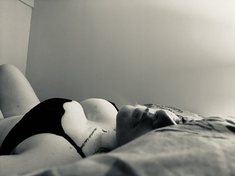 Lizzinked adult model archive