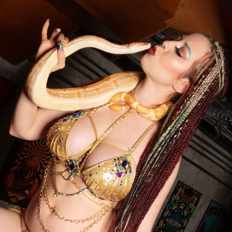 Lylith Hael nude pornstar galleries