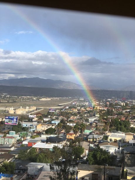 DAISY hd star gallery