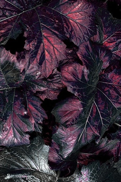 Marci June hd model photo