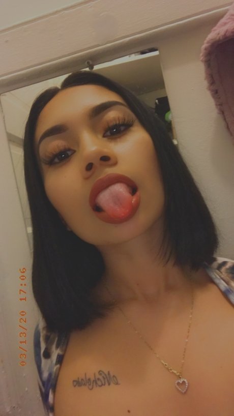 vee model free archive