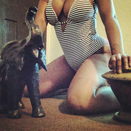 Blu Jay Swan model nice pic