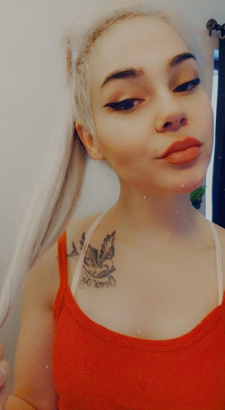 Lamb beautiful star galleries