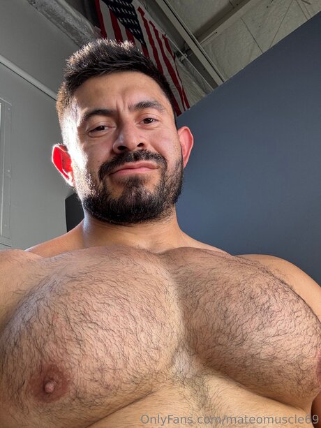 Mateo Muscle best star galleries