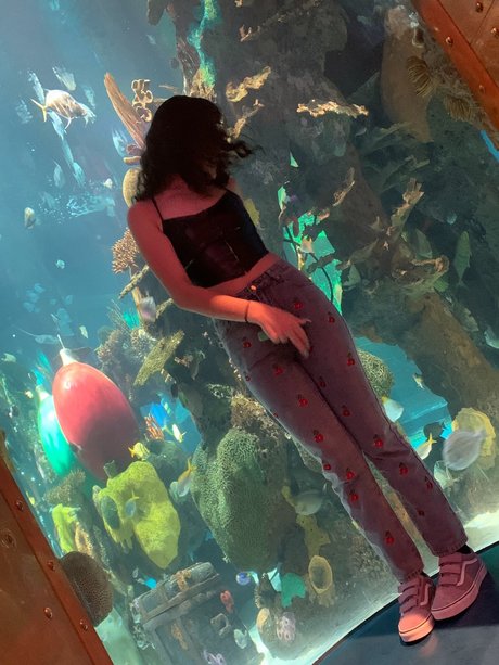 MaskedupSkit top star archive