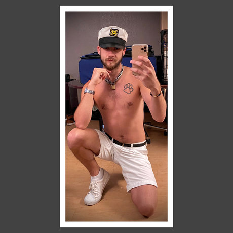 Spikie Wolf_ model top image