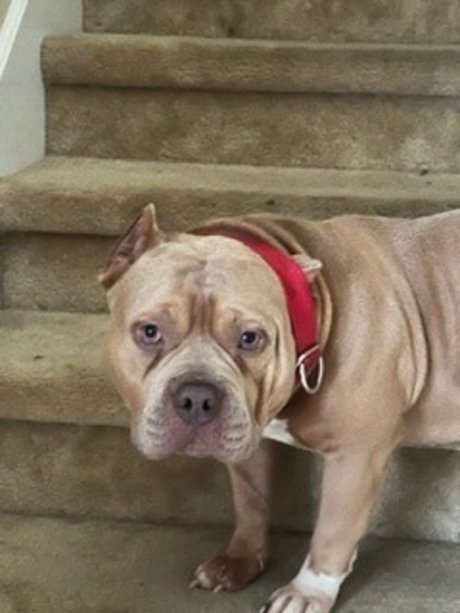 moochann star nudes images