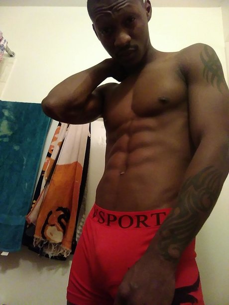 Moniivii model best image