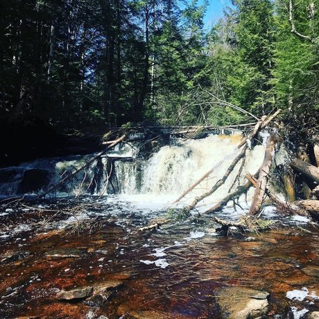 Emilio Medina best pornstar img