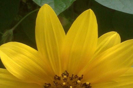 Mo Mouse82 model free photo