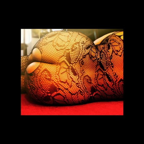 Layla Asher pornstar top img