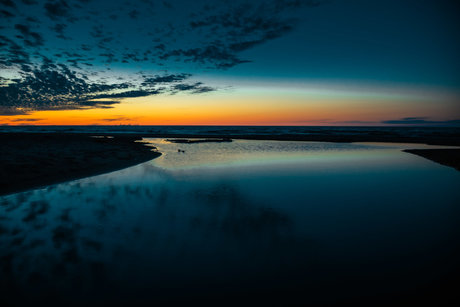 MissGrizz xxx pornstar pic