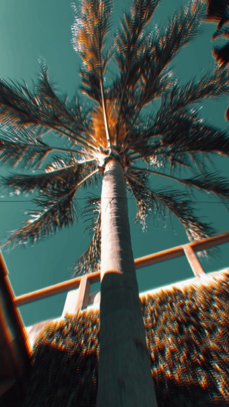 Desmon top actress pictures