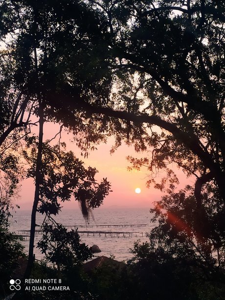 Natane Machado model best archive