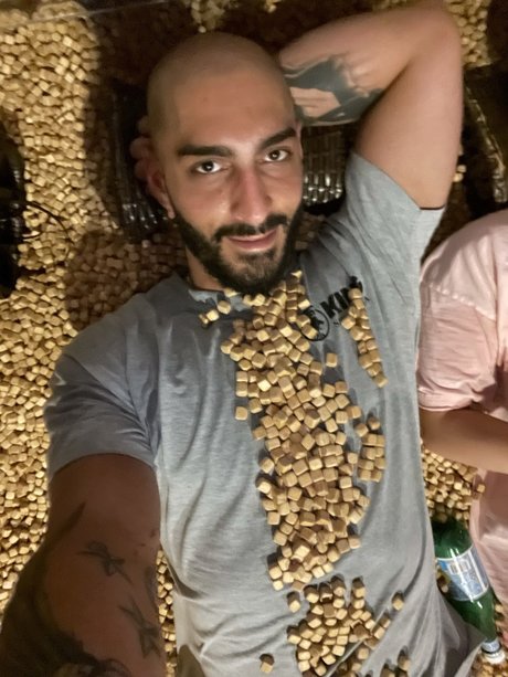 PapiChulo 1 pornstar free galleries