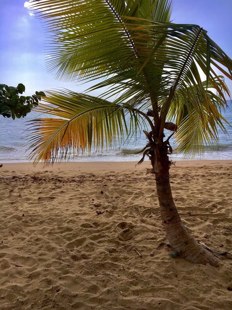 Mr JeanPi pornstar pretty image