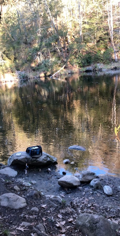 fit onlyfans pornographic images