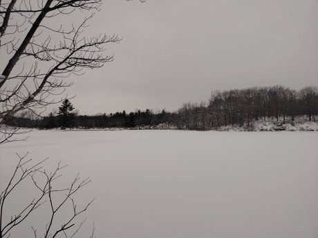 Morningblues girl star erotic images