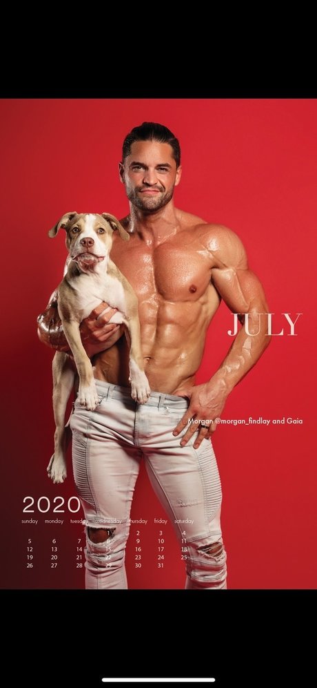 Arnette sex pornstar image