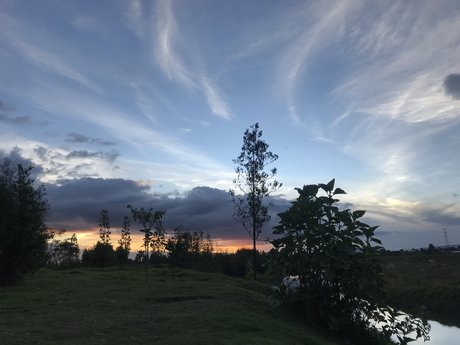 Daniela Maria actress images