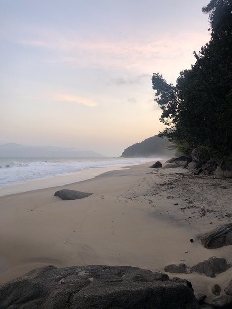 Mir mir best pornstar image