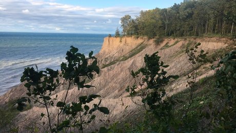 Niceguy013 pretty star images