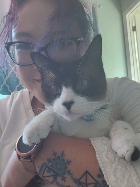 DanBi star hd gallery