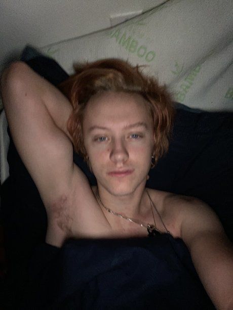 No name_ star free galleries