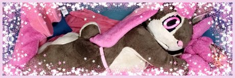 naoko project pornstar free galleries