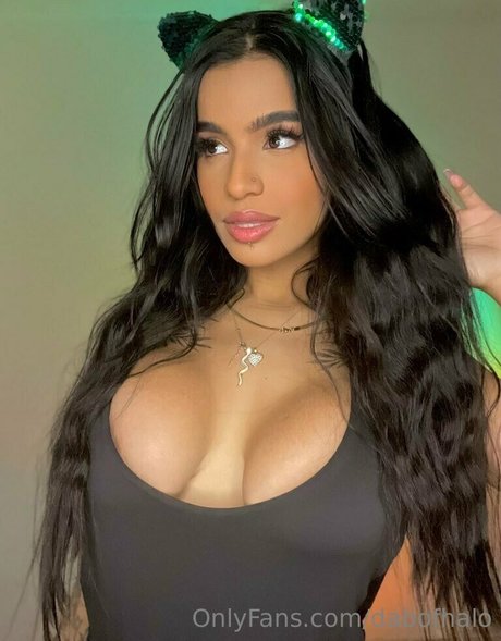 dabofhalo star exclusive archive