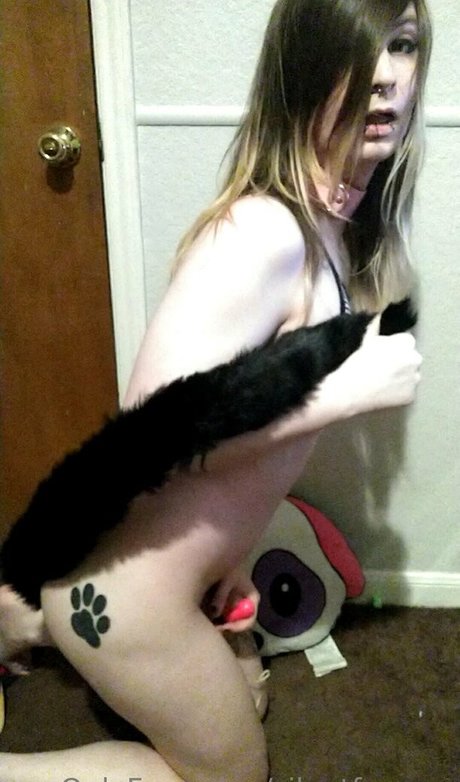 silentfoxowo naked pornstar img