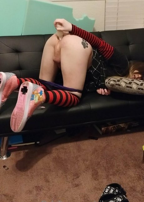 silentfoxowo top star archive