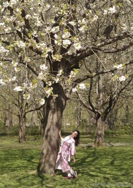 ayakofuji star hot img