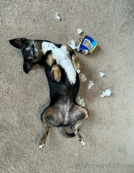 bikini sex onlyfans free porn archive