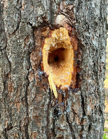 thick trans onlyfans porno archive