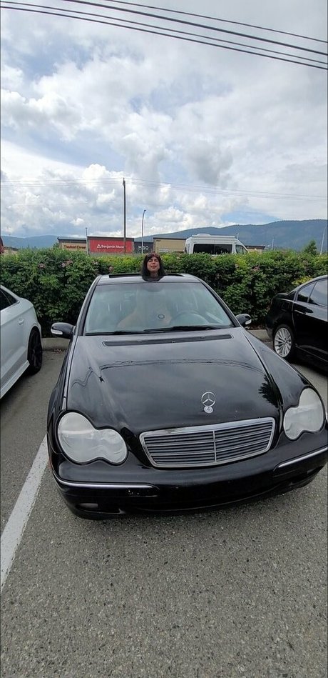 therealblairdarling art star picture