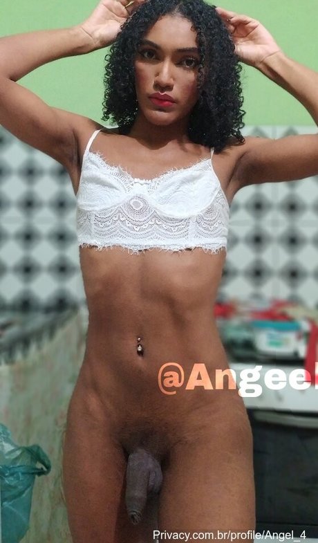 Angel 4 model high quality galleries