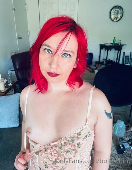 BoltedBird model high quality picture