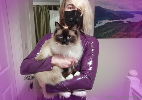 skyr4t star free picture