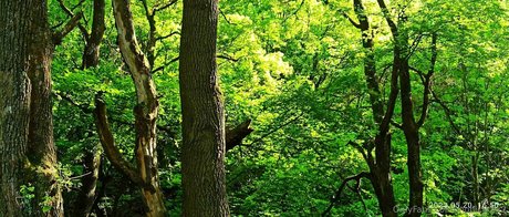 body onlyfans beautiful xxx pics