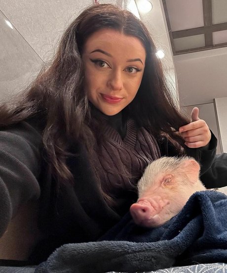 LivBev star nice archive