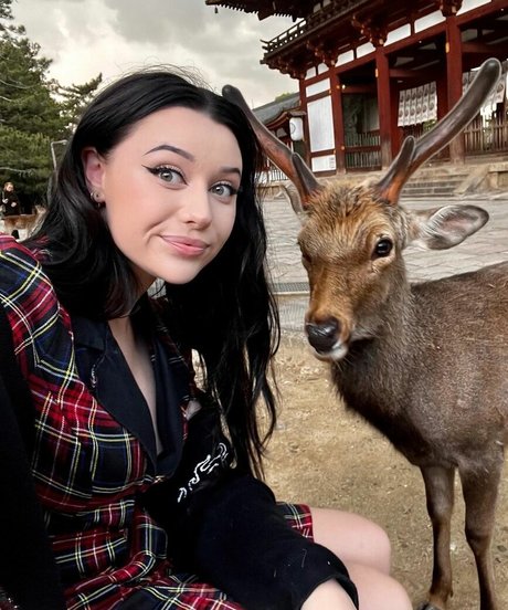 bbc doggystyle onlyfans nudes pics