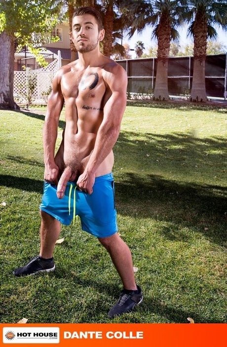 dante colle pornstar sex picture