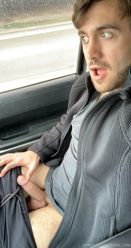 dante colle porn star image