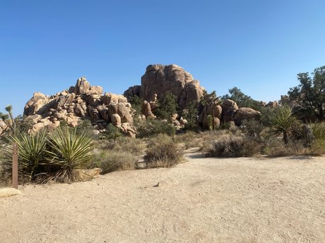 Shorty LL naked star archive