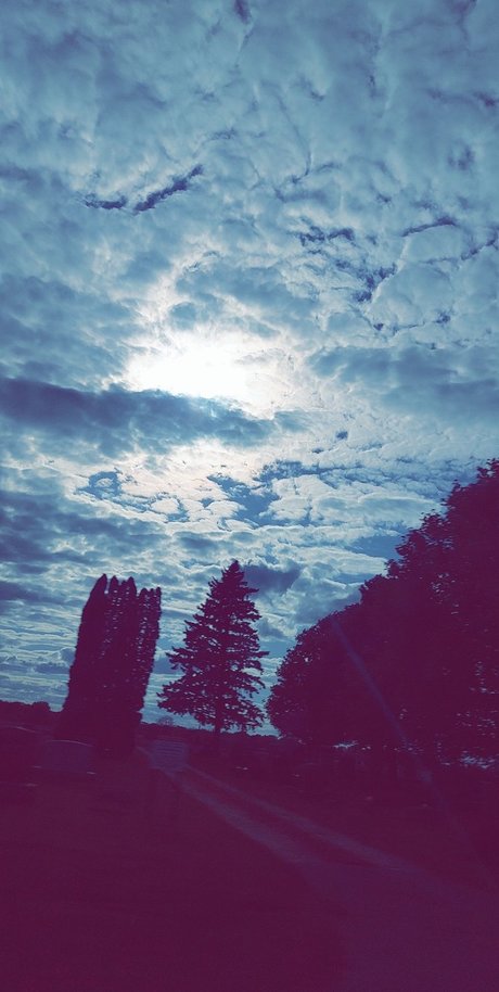 Nutty professoar star images