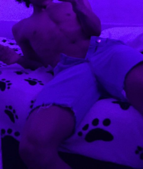 niv star art archive